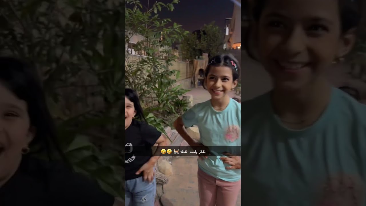 القطه 😍😍🤣