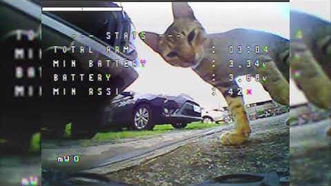 Practice for the Next IGOW2 Challenge | Back to Stock Tinyhawk S Tune!🤗