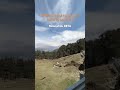 Bête to Pahad ke nashe hai ..[day-22/365] #travel #iitiansvlogs #iitjam