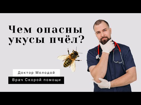 Чем опасны укусы пчёл?