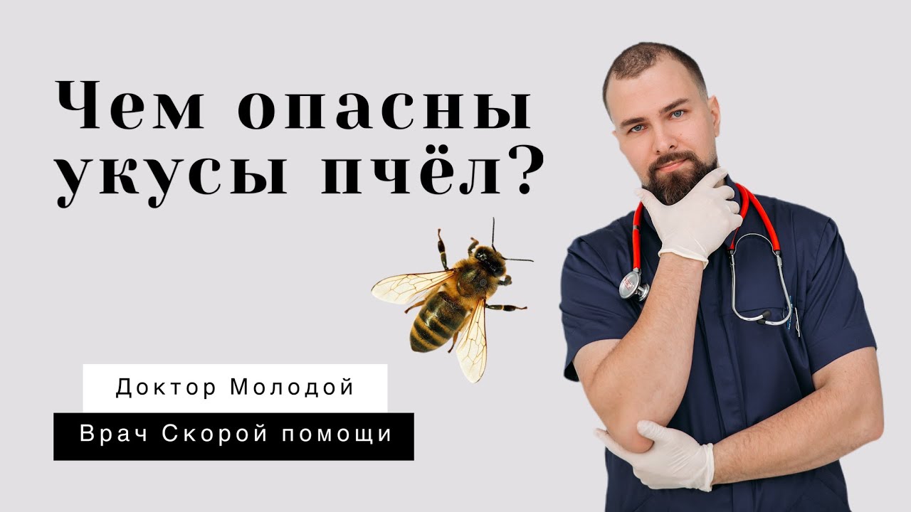 Чем опасны укусы пчёл?