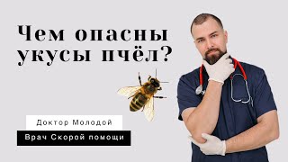 Чем опасны укусы пчёл?