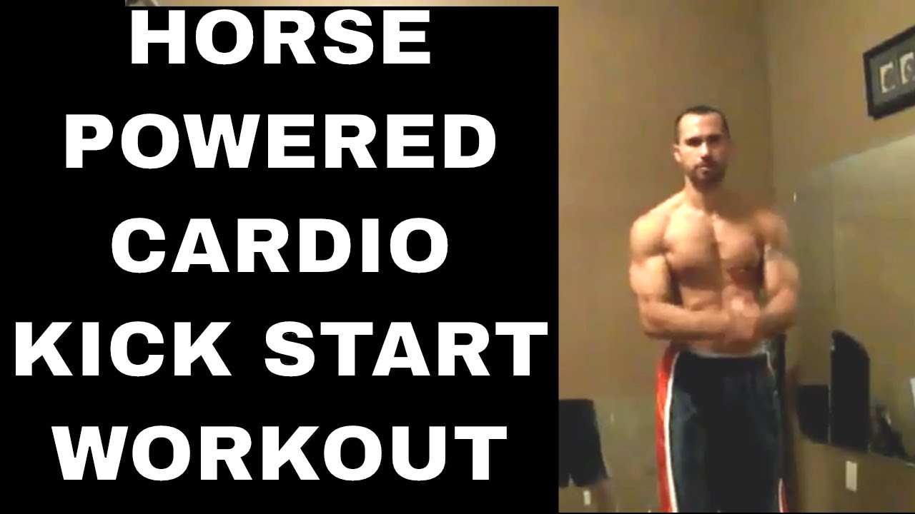 Horse Powered Cardio Kick Start Workout - YouTube