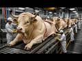 Inside Modern Leather Manufacturing | Charolais Bull Horn & Hide Processing