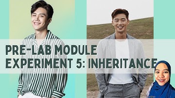 Pre Experiment 5: Inheritance