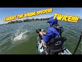I Caught The Wrong Fish... Twice! #kayak #bass #fishing
