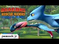 Racing the World&#39;s Fastest Dragon | DRAGONS RESCUE RIDERS: HEROES OF THE SKY