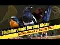 10 jenis Burung Kicau yang cocok dipelihara di tahun 2021[kicau mania wajib tahu]