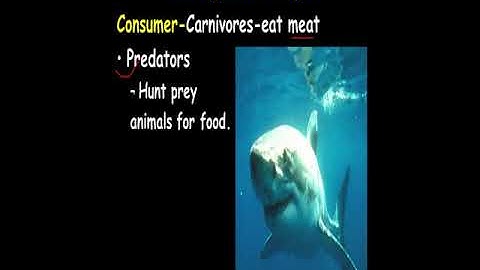 Unit 4 4 1 Introduction of Ecology Part II