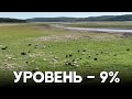 На дне водохранилища близ Стамбула теперь пасётся скот