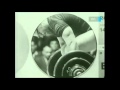 Veres Győző &amp; Tóth Géza | Olympic Weightlifting | 1964 - Tokyo