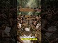 Klaim Tanpa Dasar, Siapa yang Menanggung Dampaknya?