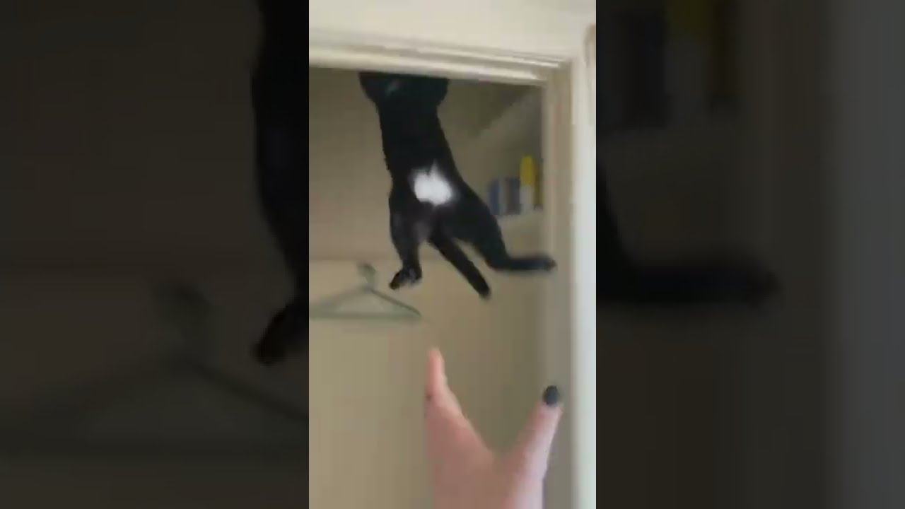 I made a calculated decision but man am bad at math 