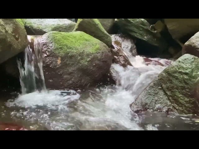 Flowing Water Ambience | Relax & Unwind with River ASMR