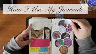 My Current Journal Ecosystem | Moleskines