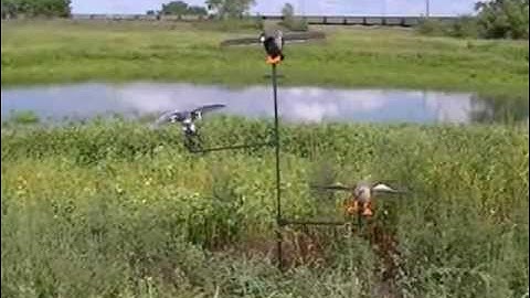 Swarm Stick- Waterfowl Hunting