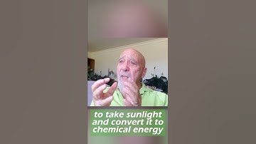 Stuart Hameroff on combining biology and quantum research #shorts