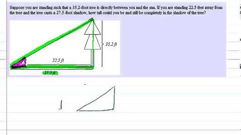 Similar Triangles Tree Shadow