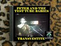 Peter and the test tube babies  transvestite  burning ambitions  a history of punk v 3  vken24