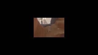 ХУМАН ФАЛ ФЛАТ С ТРУКАМ
