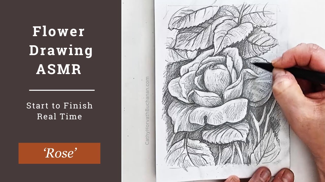 How to Draw a Rose Video – SoloWorkStudio