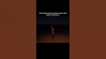 Rust Console when you find a cheater using scripts on the beach…#shorts #rust #rustconsole