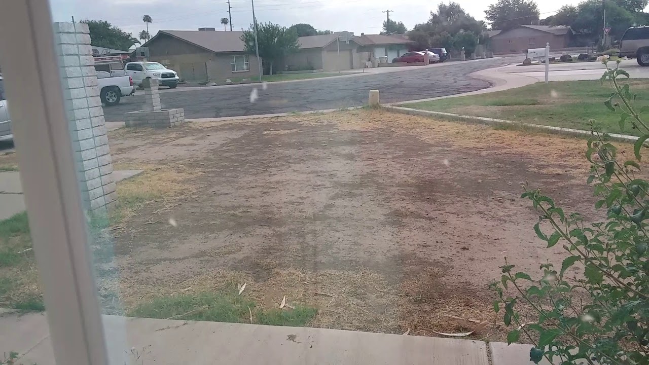 Life in Arizona right now. Its great. YouTube