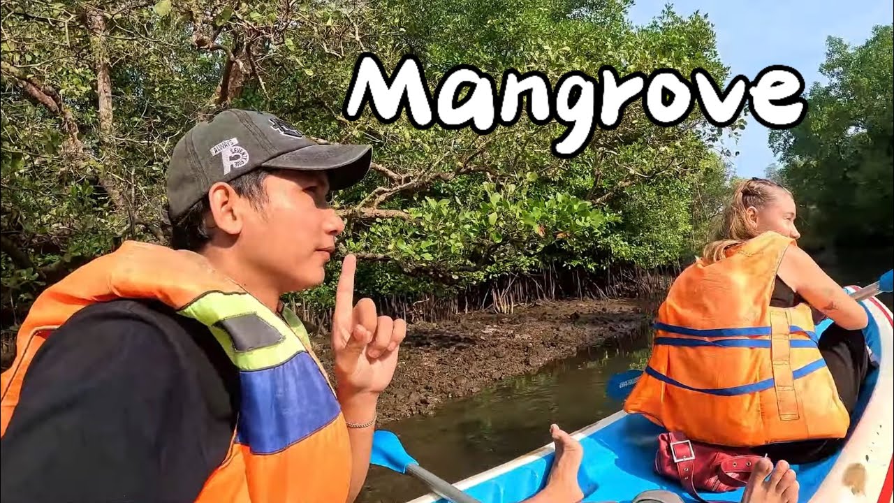 MENJELAJAHI HUTAN MANGROVE DI BALI 🇮🇩