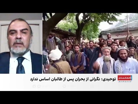 توحیدی گروه طالبان مشروعیت ندارد