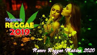 MEJORES REGGAE 2020 - Mejores Canciones Remix De Reggae 2020 - Nueva Música Reggae 2020