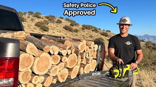 In Search of Juniper - The BEST Wood for Kindling and Aromatic Fires!