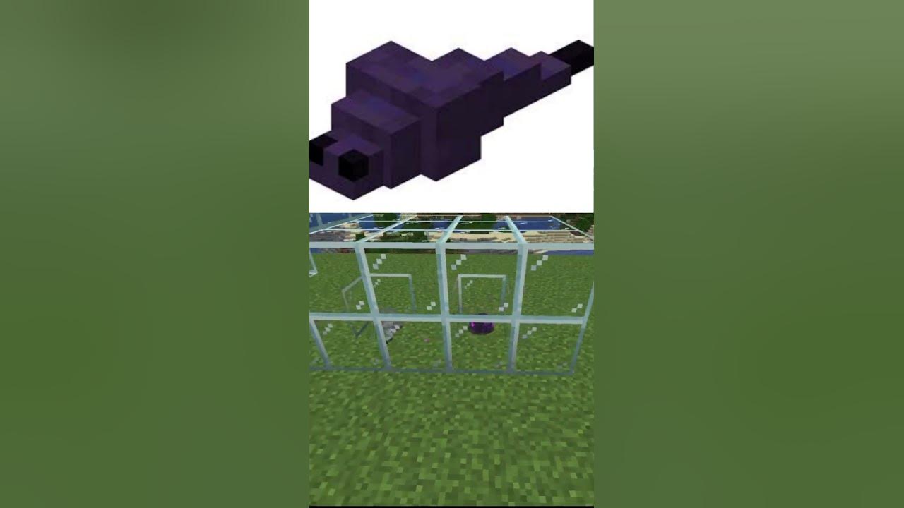 Les Arthropodes dans Minecraft! YouTube