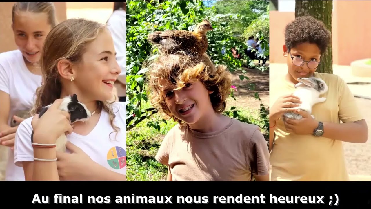 PRIX PALME DE L'ACTION INNOVANTE