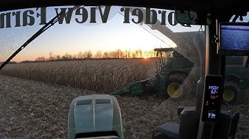 Best Field of Corn so Far!