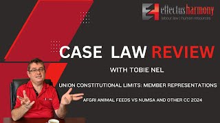 CASE LAW REVIEW:  Union Constitutional Limits: Member Representations.