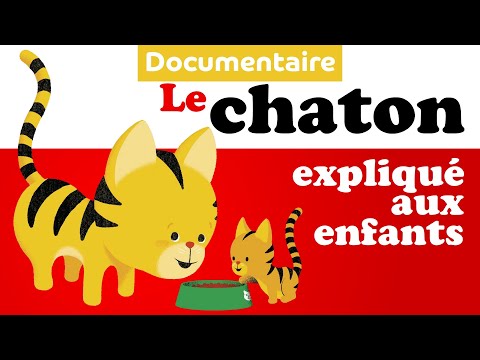Vidéo: Livres Pour Enfants Sur Les Chats Et Les Chats