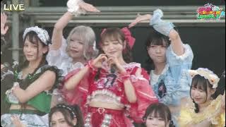 Yakousei Amuse (夜光性アミューズ) 「20240811」