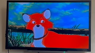 The Fox And The Hound: Adult Tod (iPhone) (With Picture) (2)