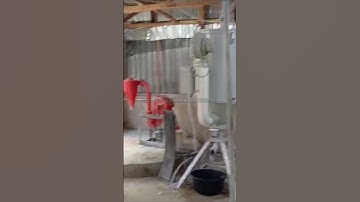 Nigerian client the floating fish feed machine test#fishfarming #machine #extruder