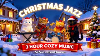 Download Lagu 3 HOURS Cozy Christmas Jazz 🎄 Winter City Coffee Shop Music with Cat Band (Study, Relax, Sleep) MP3