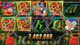 Galaxy Casino Live - Florist Theme Playing Clip screenshot 5