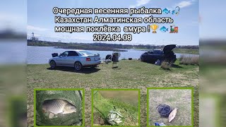 Рыбалка в Алматинской области.!2024 Озеро  Караой пруд 2.Carp Fishing
