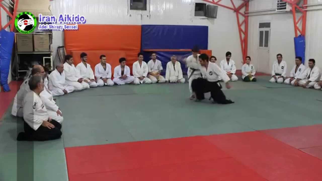 Aikido best techniques Iran Aikido Iran YouTube