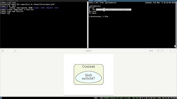 Under the hood of Git - Objects and branches in 3 minutes