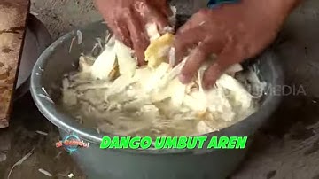 DANGO UMBUT AREN | JEJAK SI GUNDUL (17/09/20) Part 3