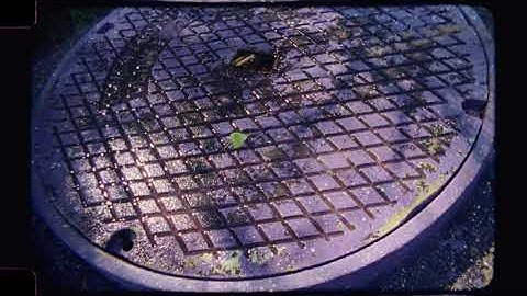 Summer Reels 02-05 Highlights - Super16 Bolex, Vision3 50D - Lasergraphics 6.5K HDR