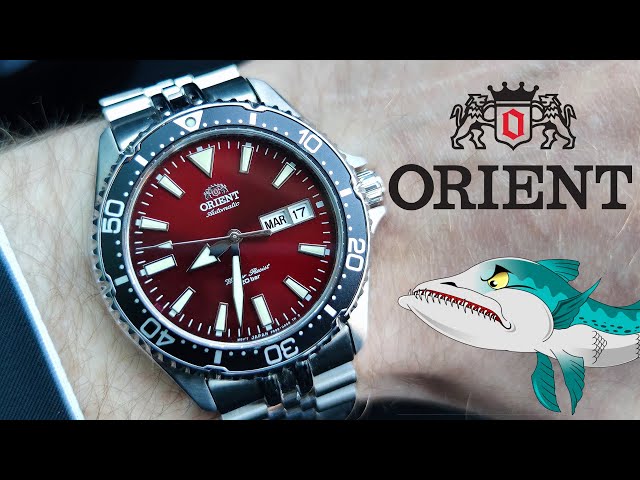 The Best Affordable Dive Watch  ORIENT KAMASU RA-AA0003R +