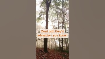 Thumbnail of I’m Nobody! Who are you? by Emily Dickinson  #poetry #poem #quotes #emilydickinson #randomreadings