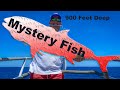 MASSIVE MYSTERY FISH Caught in Super Deep Water {Catch Clean Cook} Hand Crank, NO ELECTRIC!