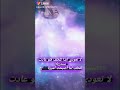 لاتعودي الخلف